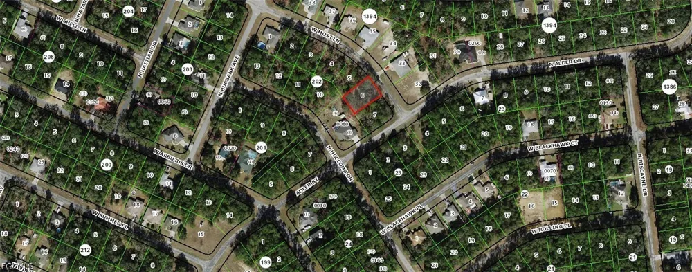 W Most Lane Citrus Springs, FL 34434