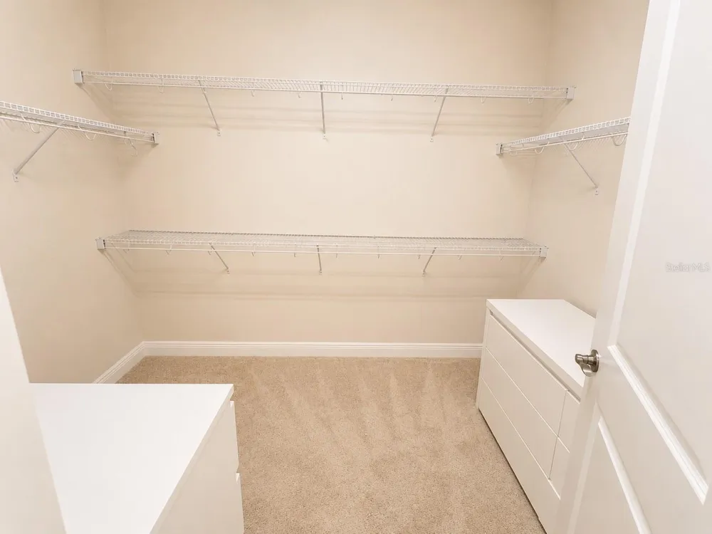 9241 PATRIMONIO LOOP Windermere, FL 34786