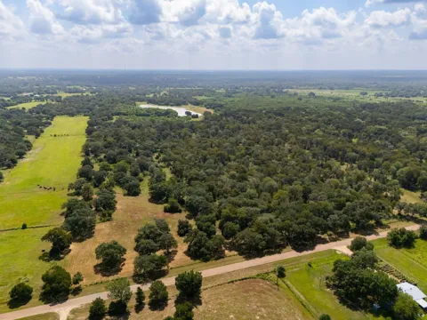 2751 Fm 2434