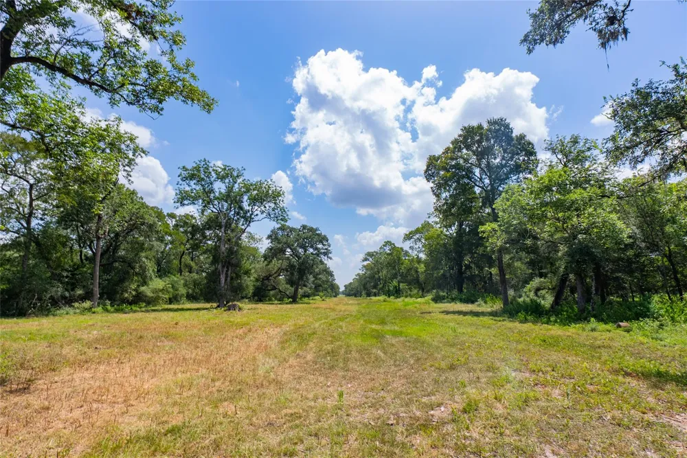 2751 Fm 2434 Columbus, TX 78962