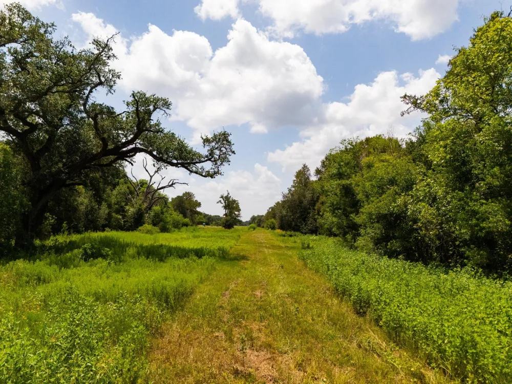 2751 Fm 2434 Columbus, TX 78962