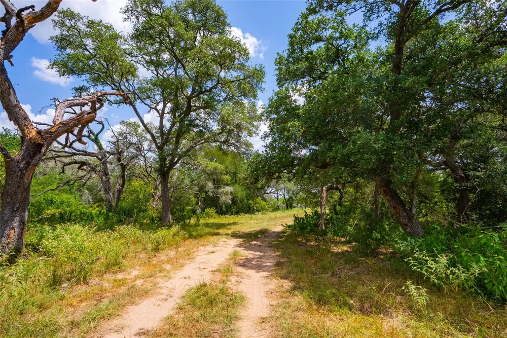 2751 Fm 2434 Columbus, TX 78962