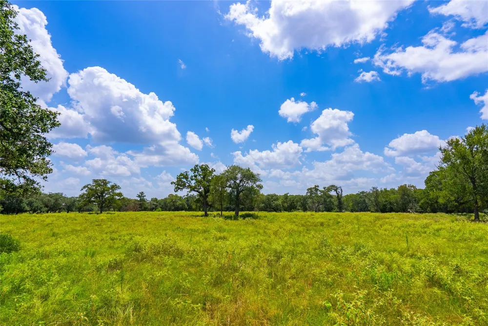 2751 Fm 2434 Columbus, TX 78962