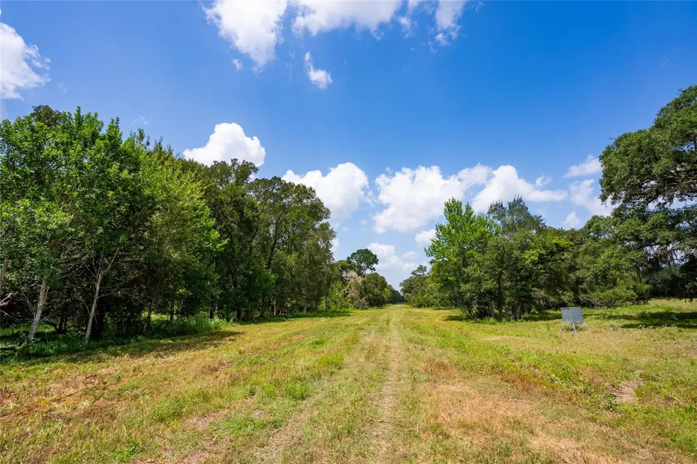 2751 Fm 2434 Columbus, TX 78962