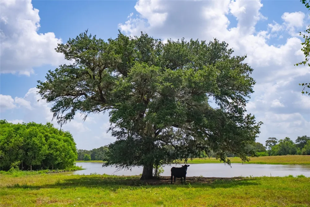 2751 Fm 2434 Columbus, TX 78962