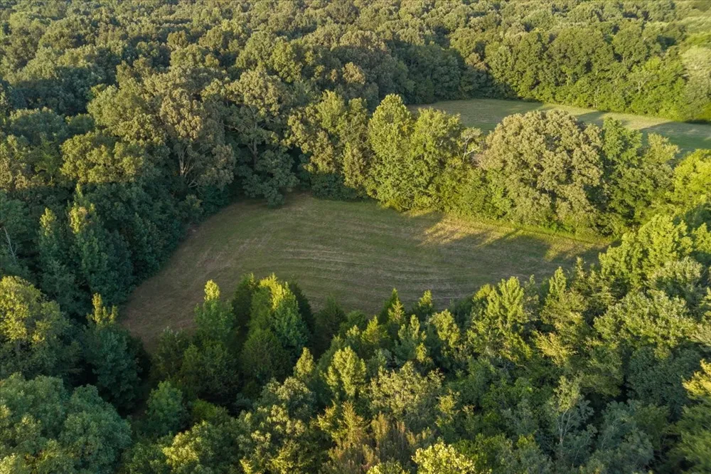 0 Cedar Grove Rd Big Sandy, TN 38221
