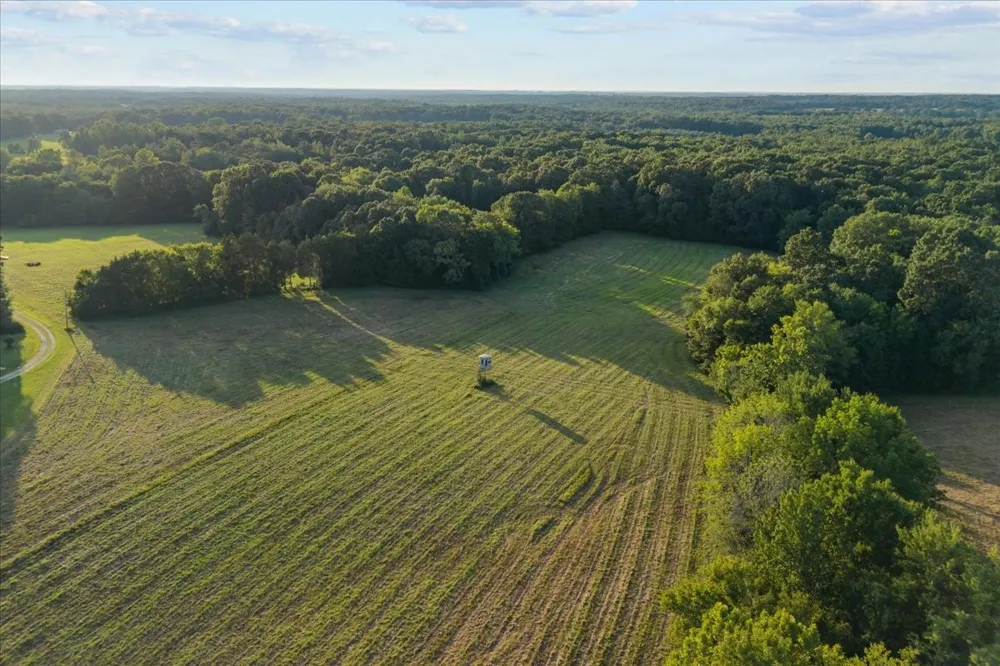 0 Cedar Grove Rd Big Sandy, TN 38221