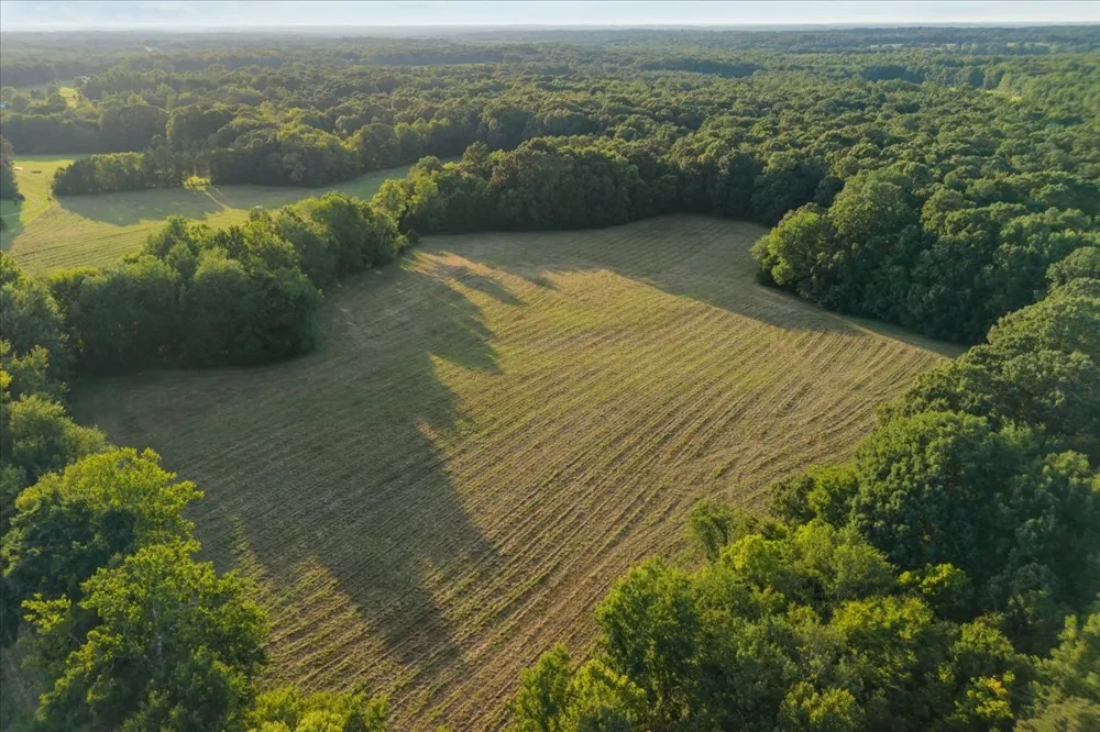 0 Cedar Grove Rd Big Sandy, TN 38221