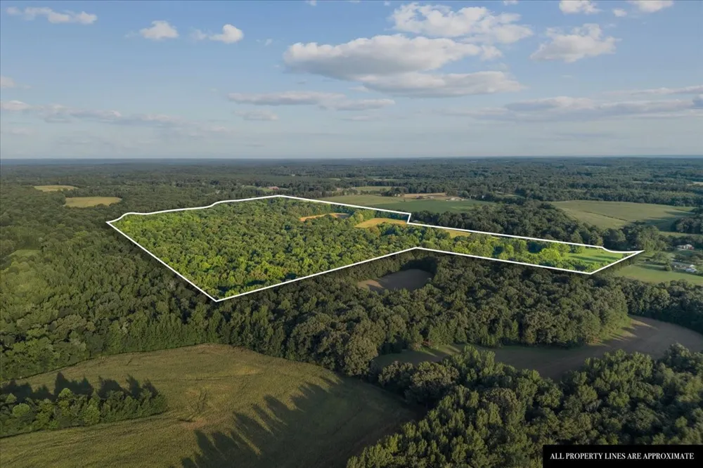 0 Cedar Grove Rd Big Sandy, TN 38221