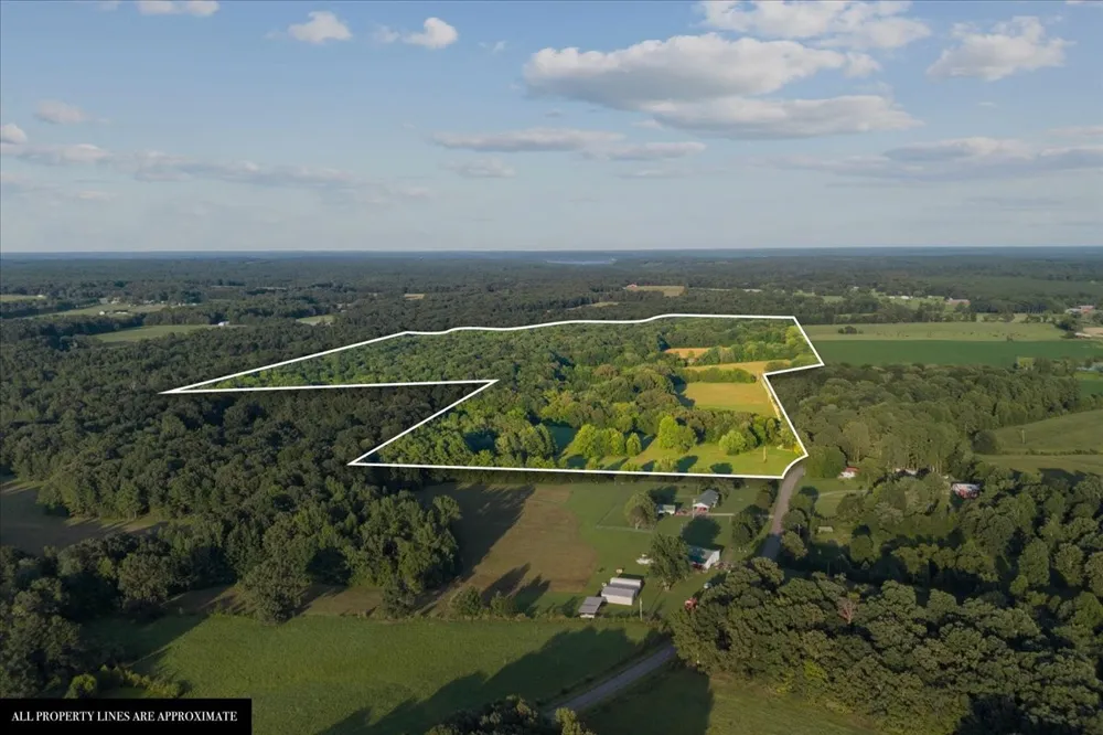 0 Cedar Grove Rd Big Sandy, TN 38221