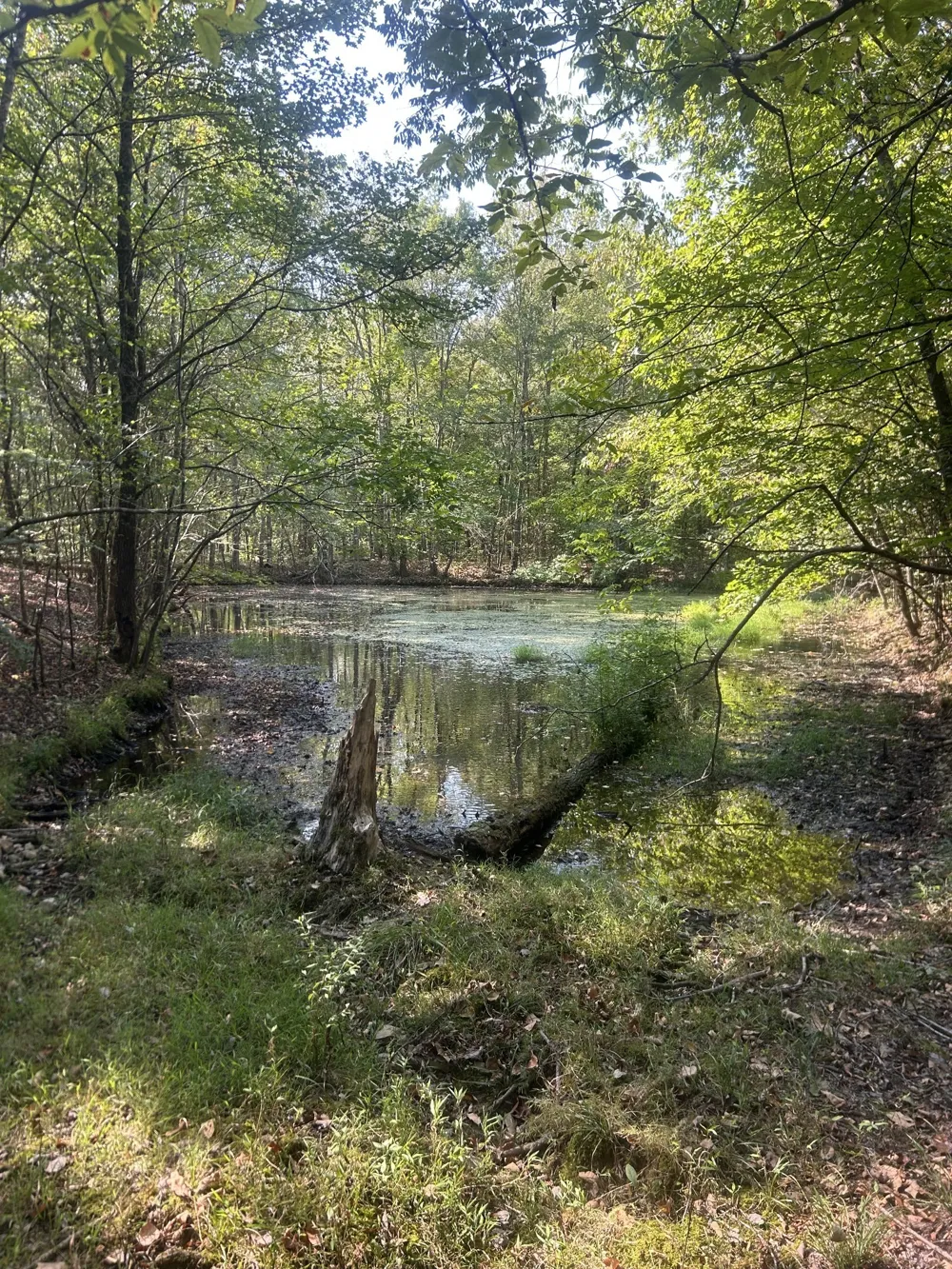 0 Cedar Grove Rd Big Sandy, TN 38221