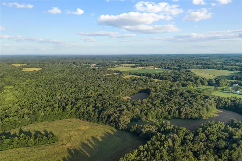 0 Cedar Grove Rd Big Sandy, TN 38221
