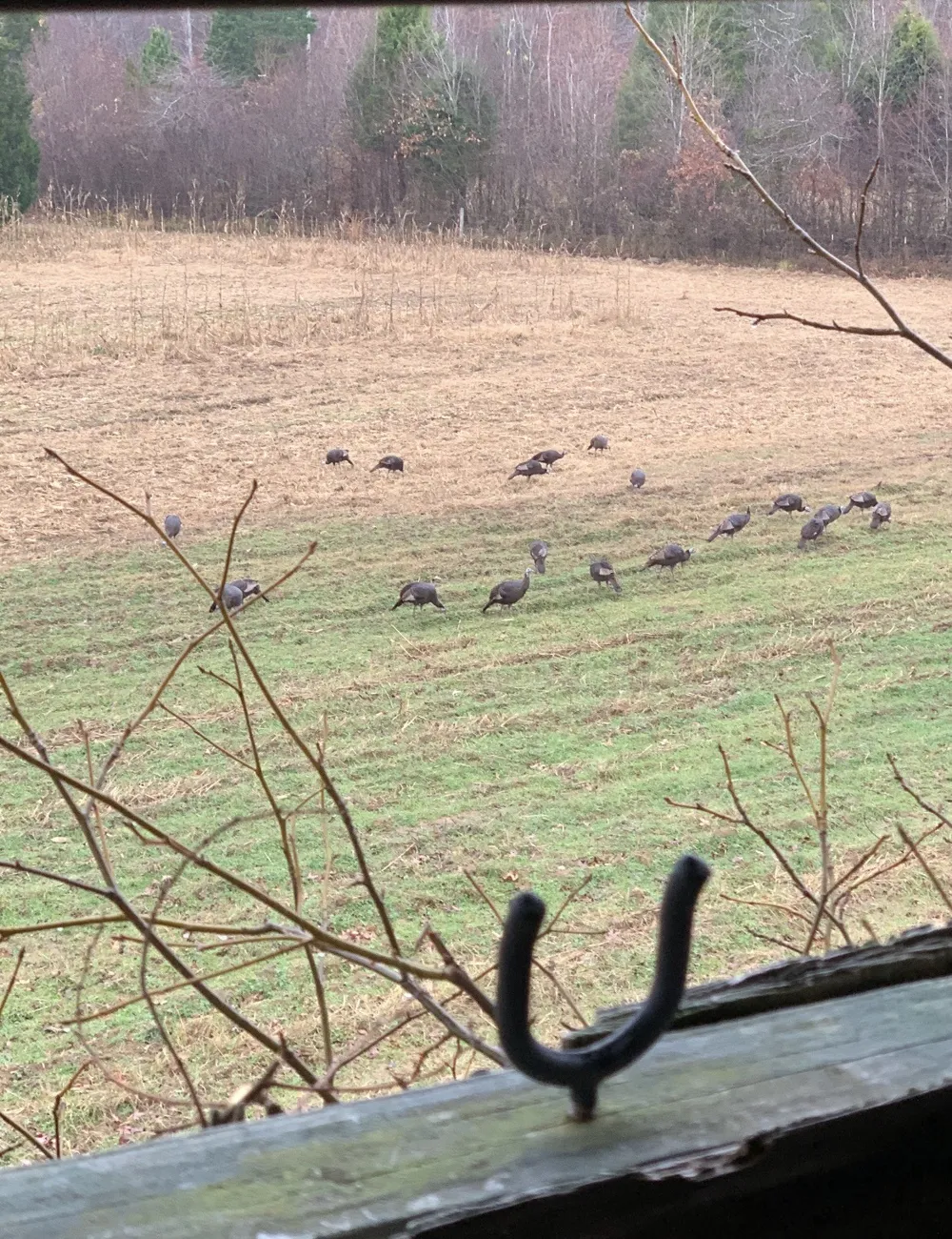 0 Cedar Grove Rd Big Sandy, TN 38221
