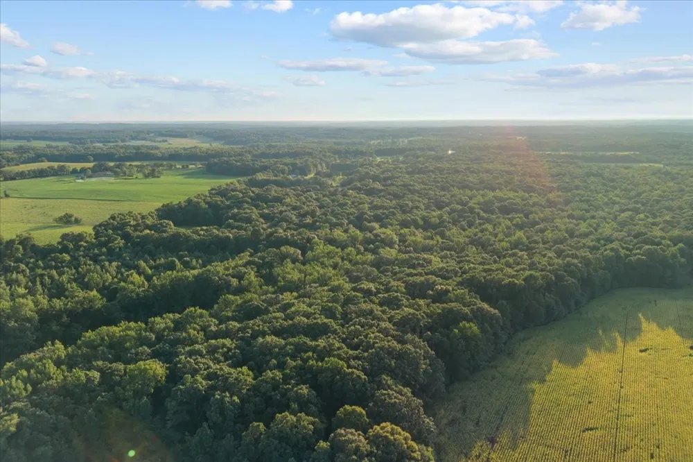 0 Cedar Grove Rd Big Sandy, TN 38221