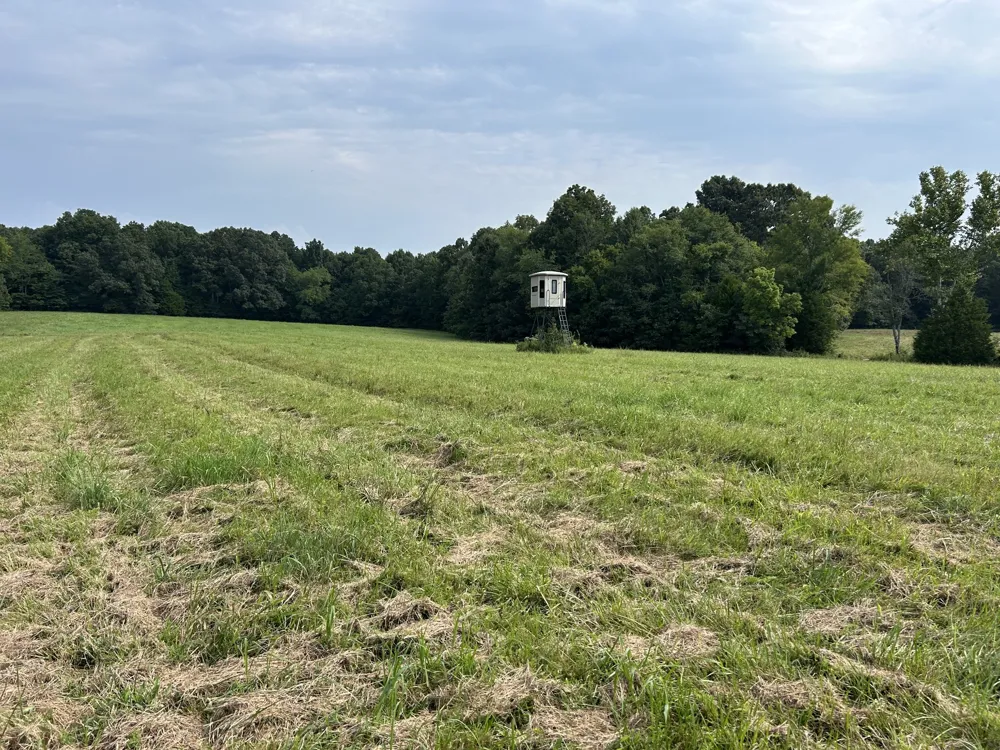 0 Cedar Grove Rd Big Sandy, TN 38221