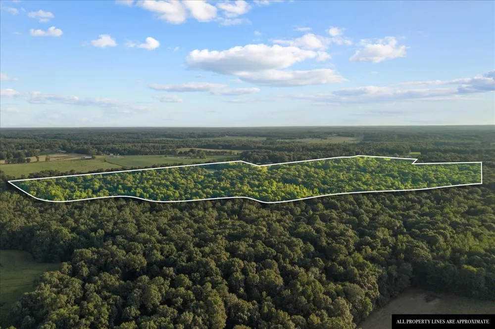 0 Cedar Grove Rd Big Sandy, TN 38221