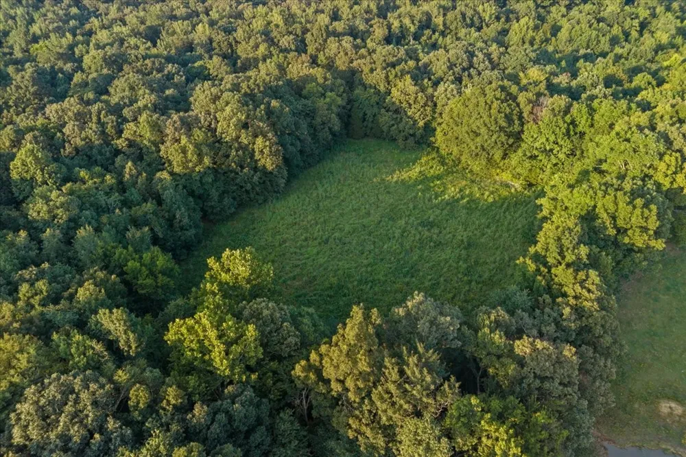 0 Cedar Grove Rd Big Sandy, TN 38221