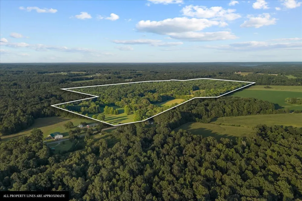 0 Cedar Grove Rd Big Sandy, TN 38221