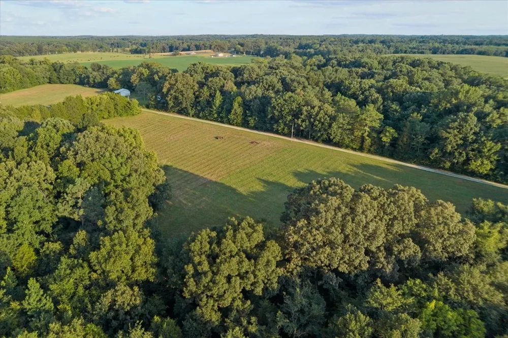 0 Cedar Grove Rd Big Sandy, TN 38221