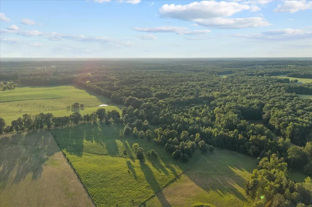 0 Cedar Grove Rd Big Sandy, TN 38221