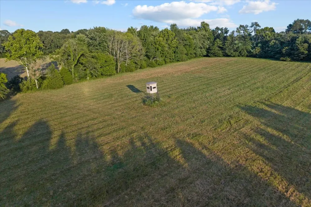 0 Cedar Grove Rd Big Sandy, TN 38221