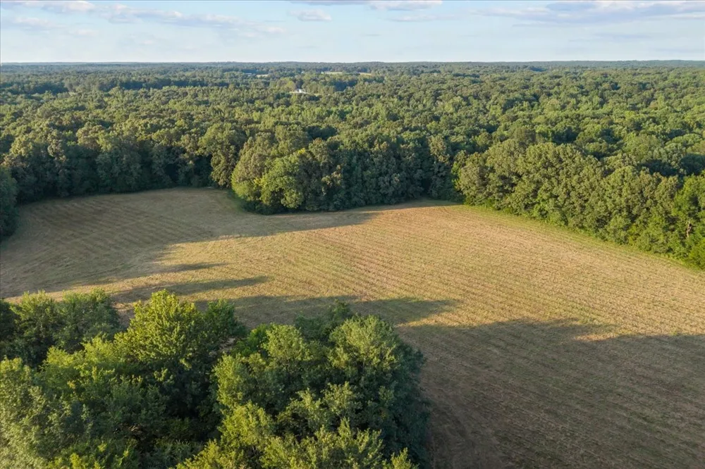 0 Cedar Grove Rd Big Sandy, TN 38221