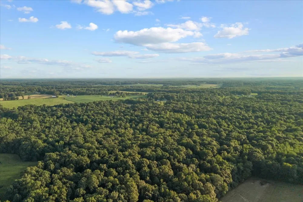 0 Cedar Grove Rd Big Sandy, TN 38221