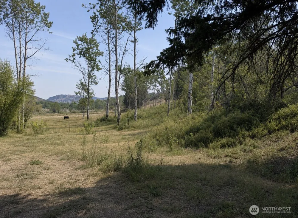 1066 A Ellemeham Mountain Road Oroville, WA 98844