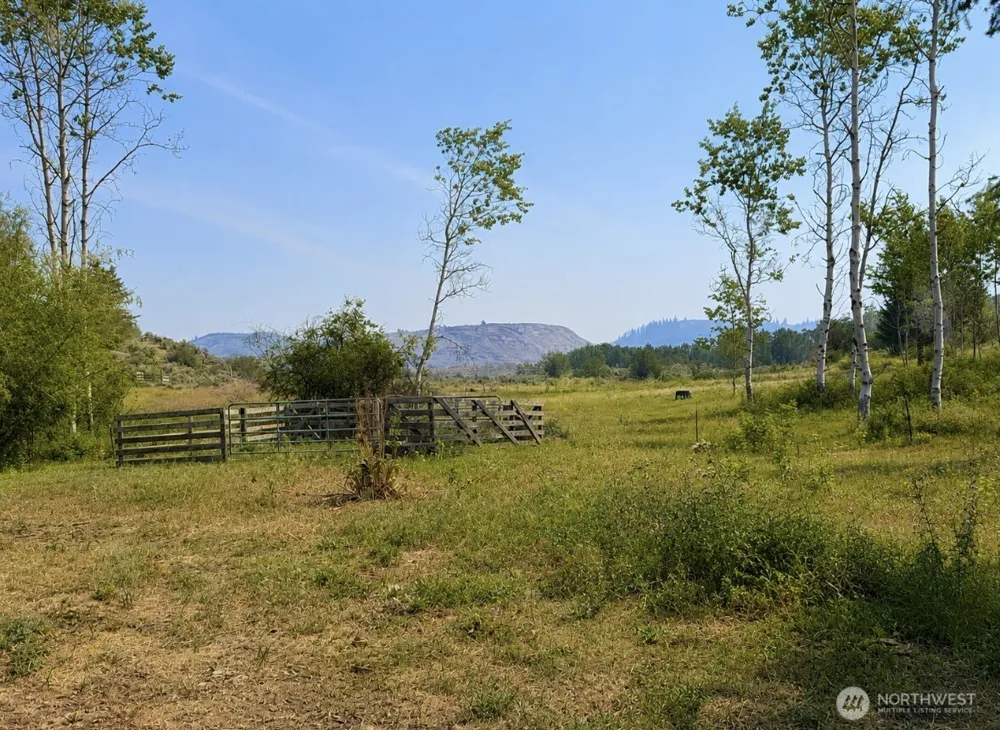 1066 A Ellemeham Mountain Road Oroville, WA 98844