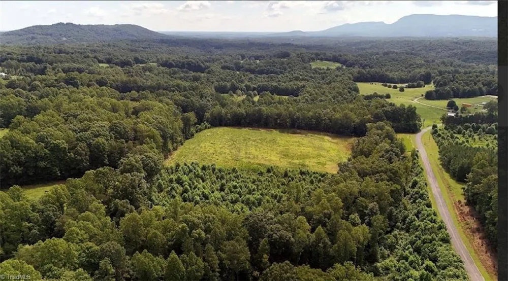 0 Inman Road Pilot Mountain, NC 27041
