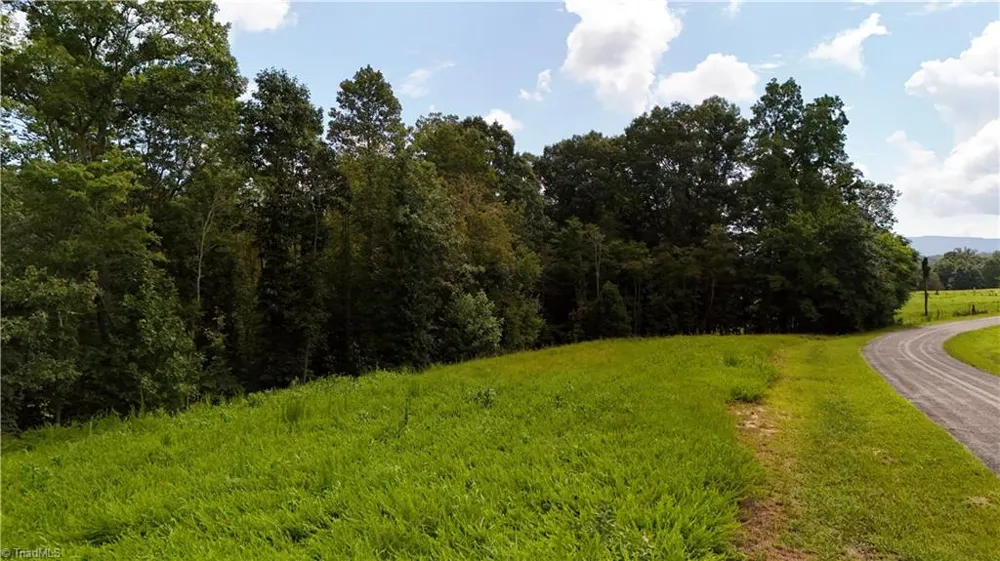 0 Inman Road Pilot Mountain, NC 27041