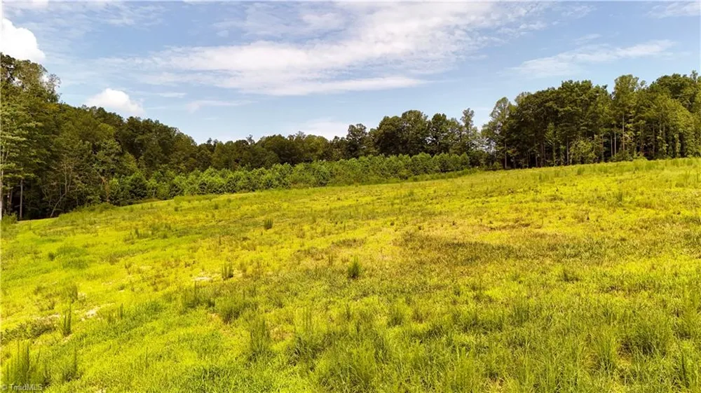 0 Inman Road Pilot Mountain, NC 27041