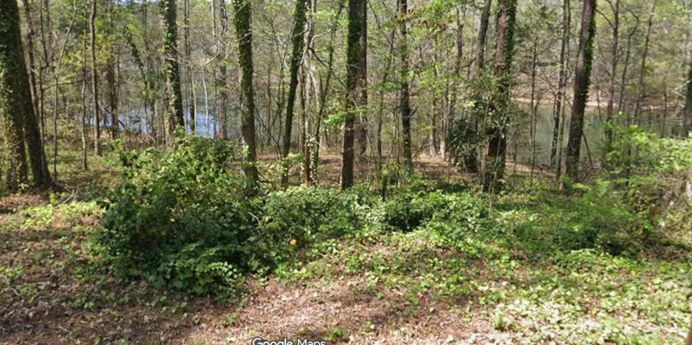 LOT 56H Hawthorne Drive Waverly Hall, GA 31831