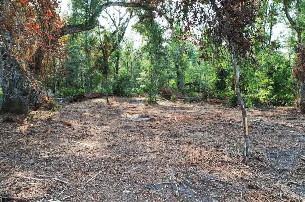 1615 NE 497TH STREET Old Town, FL 32680