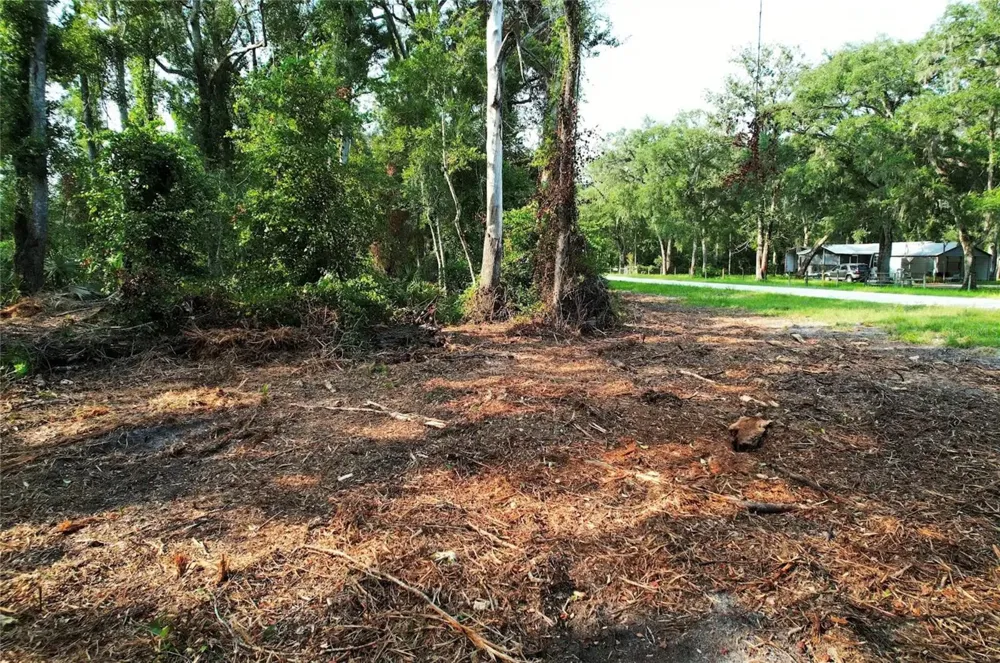 1615 NE 497TH STREET Old Town, FL 32680
