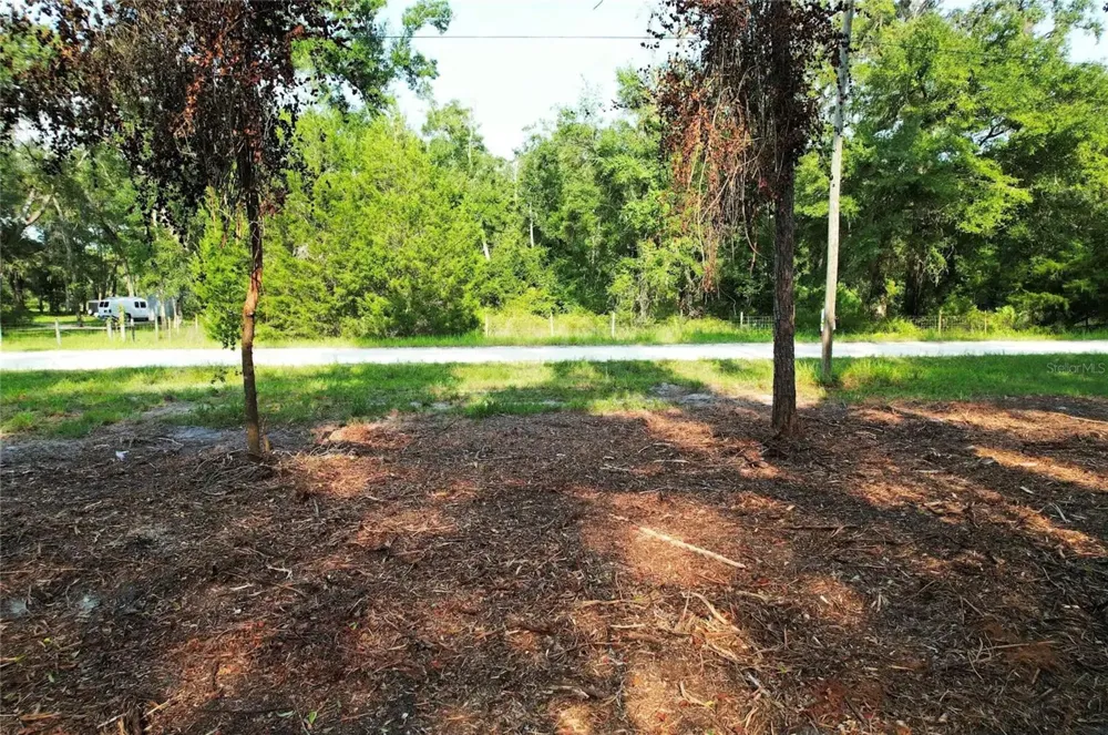 1615 NE 497TH STREET Old Town, FL 32680