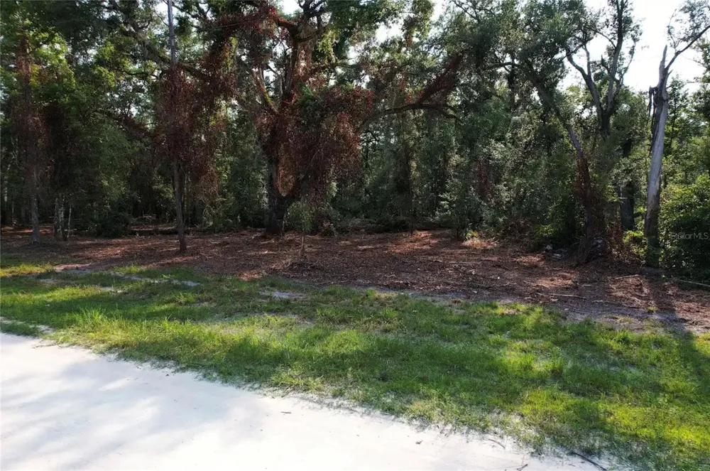 1615 NE 497TH STREET Old Town, FL 32680