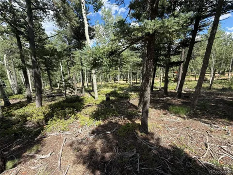 167 Big Bear Road