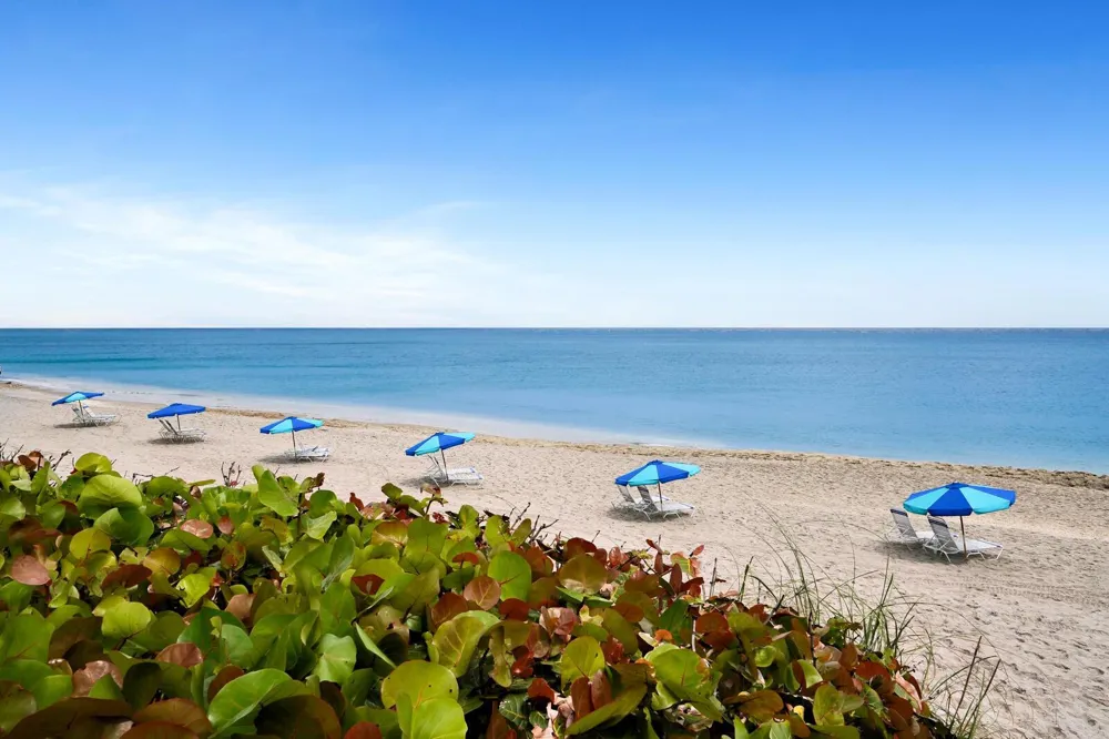 4200 Ocean Drive #1-806 Riviera Beach, FL 33404