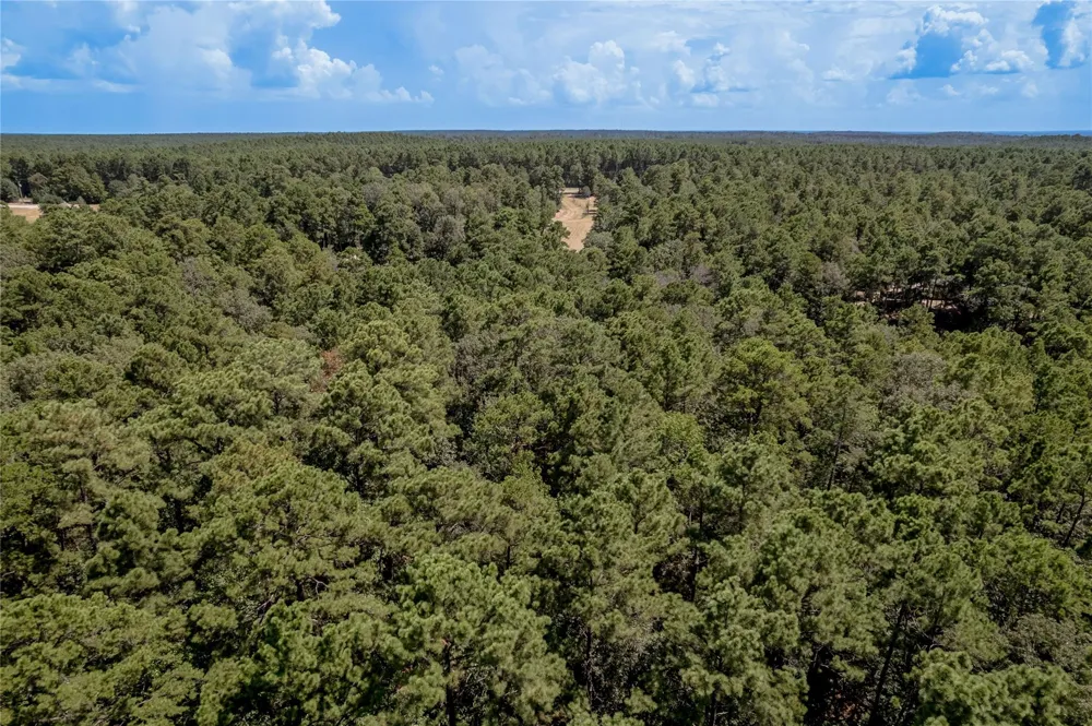 Fm 355 Trinity, TX 75862