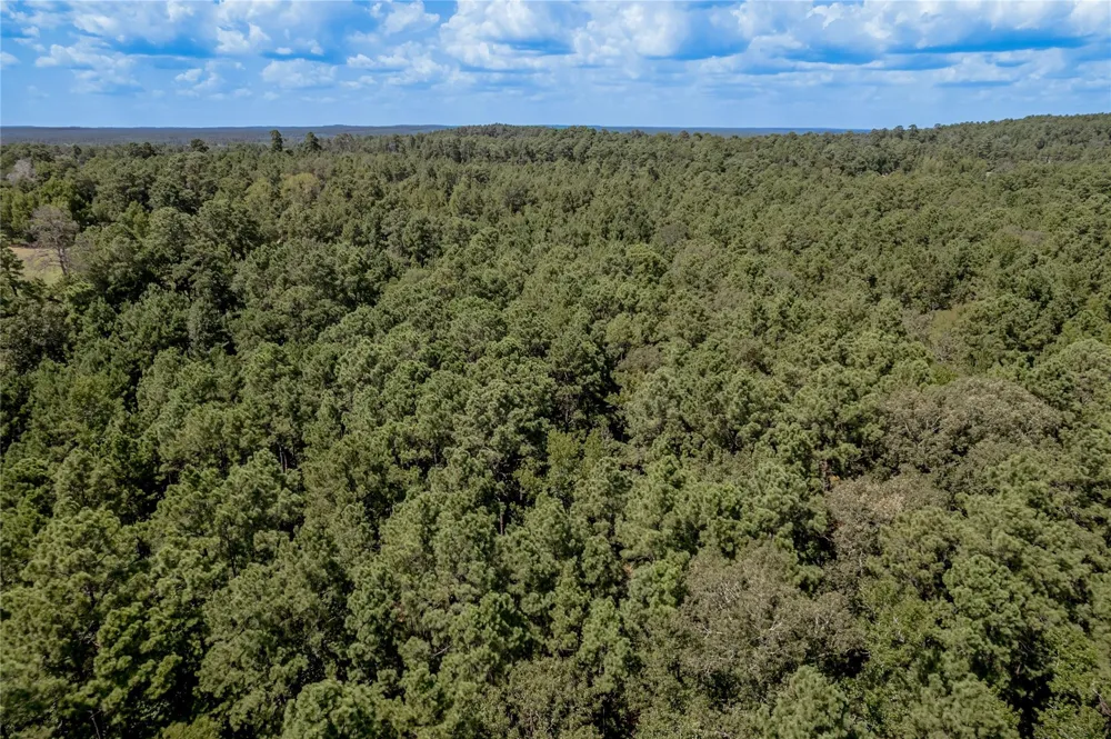 Fm 355 Trinity, TX 75862