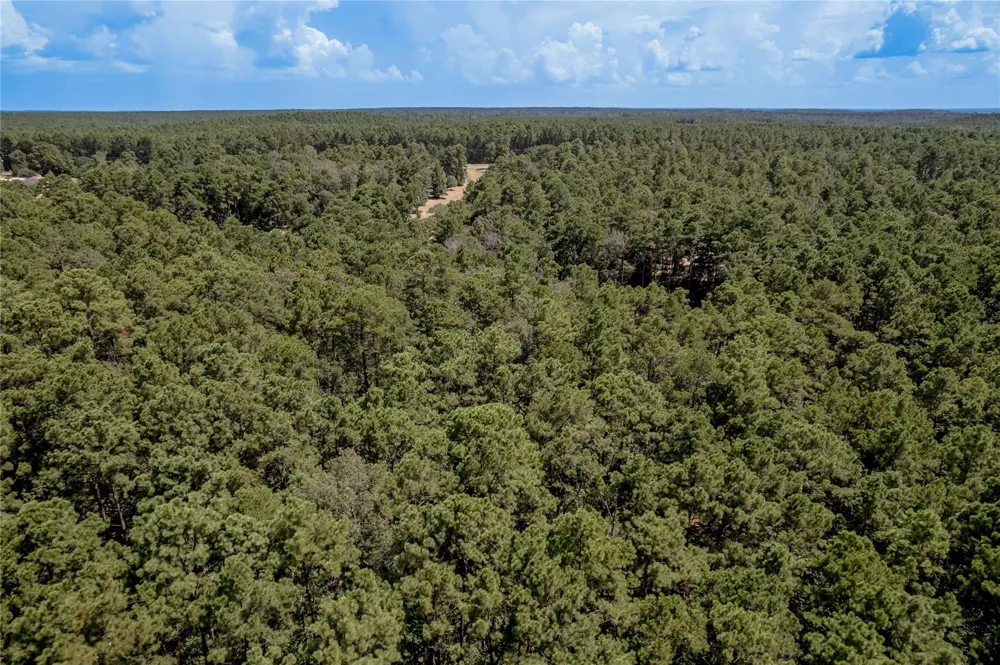 Fm 355 Trinity, TX 75862