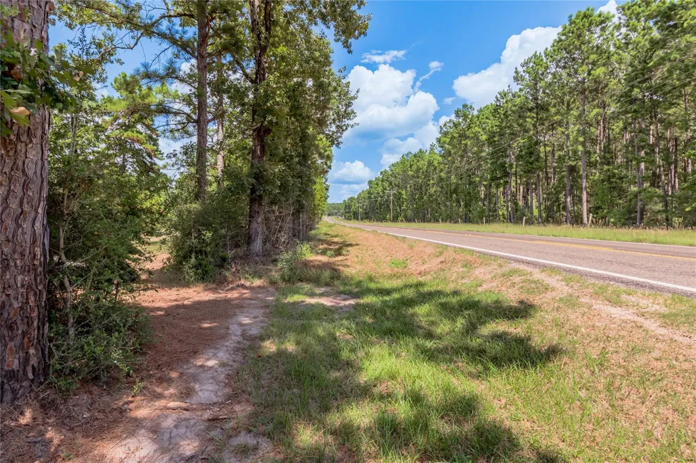 Fm 355 Trinity, TX 75862