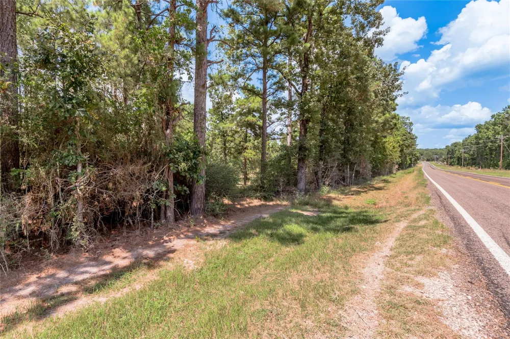 Fm 355 Trinity, TX 75862