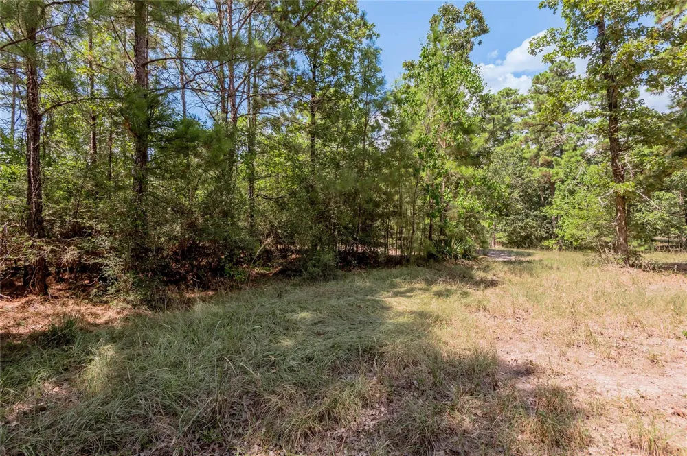 Fm 355 Trinity, TX 75862