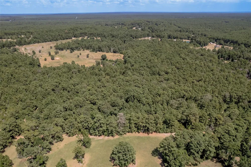 Fm 355 Trinity, TX 75862