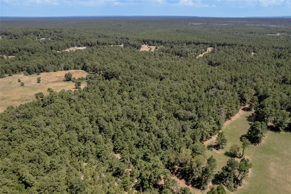 Fm 355 Trinity, TX 75862