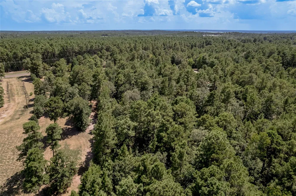 Fm 355 Trinity, TX 75862