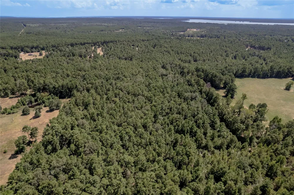 Fm 355 Trinity, TX 75862