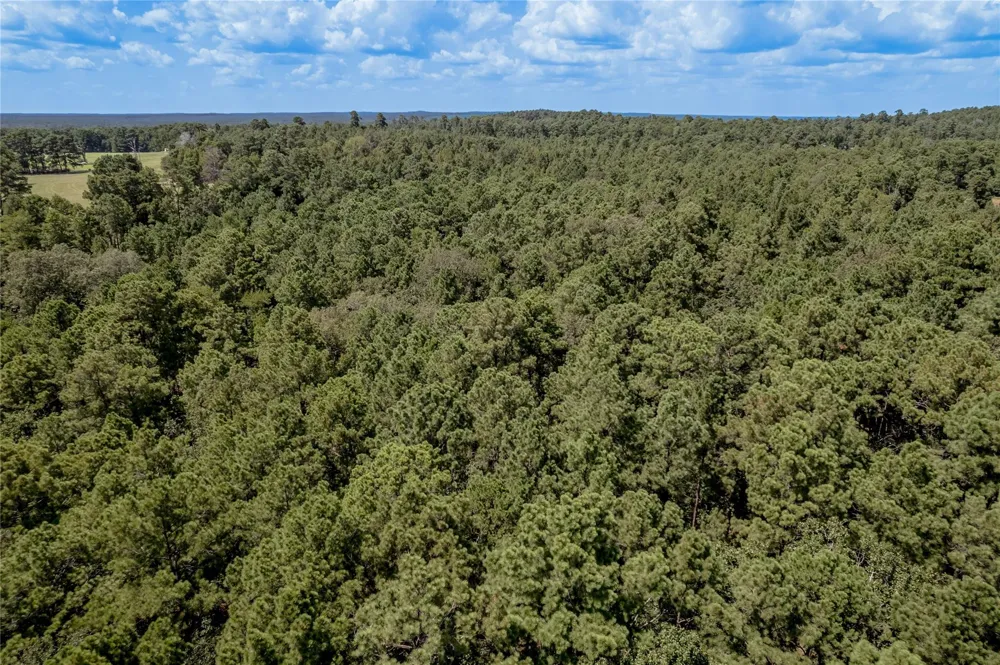 Fm 355 Trinity, TX 75862